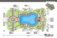 棉湖新城规划图图片6381025