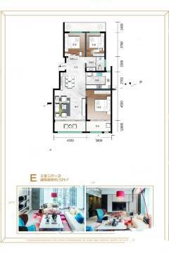 新东升福园户型图|新东升福园房型图_淄博张店区新福