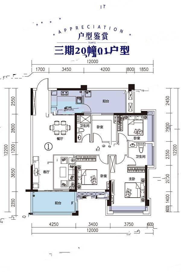 南国豪苑三期楼盘户型