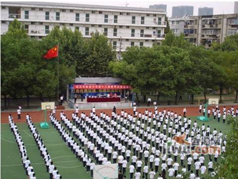 湖北省武汉市鲁巷中学七年级生物上册 第二单元 第二章《第二节 动物