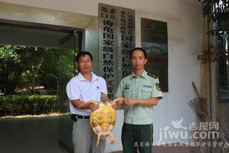 檀悦豪生度假酒店配套图图片