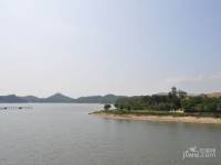 惠州雅居乐白鹭湖售楼处图片