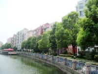 上海捷克住宅小区实景图图片
