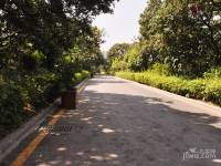 大南山紫园实景图图片