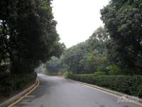 大南山紫园实景图图片