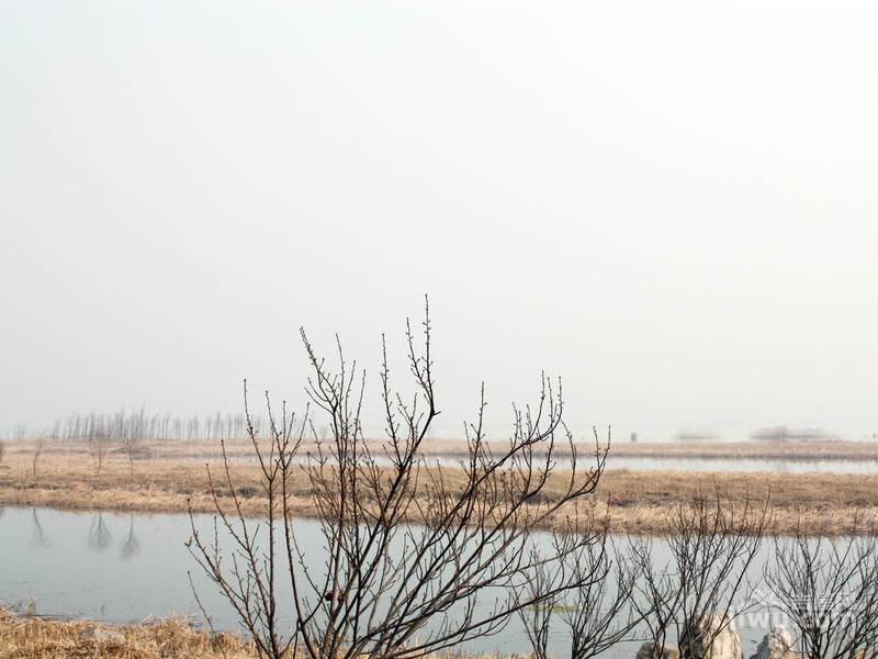 太湖纯水岸二期配套图图片