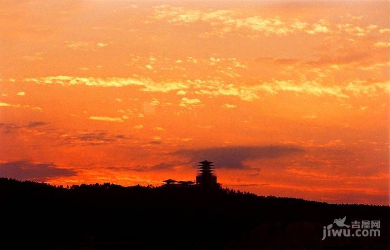 桂花星城实景图图片