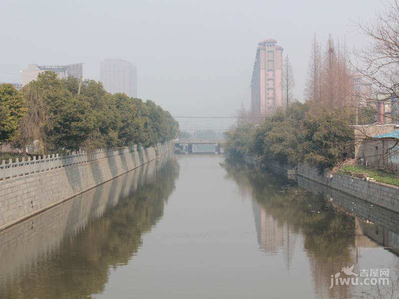 绿城紫桂公寓实景图图片