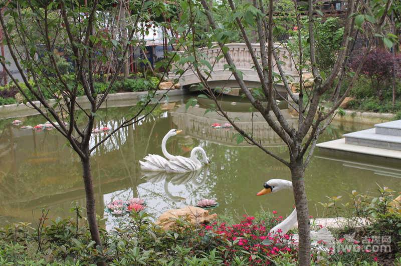 恒大御景湾实景图图片