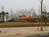 中铁城锦南汇实景图图片