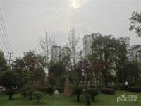 紫坪福园实景图图片