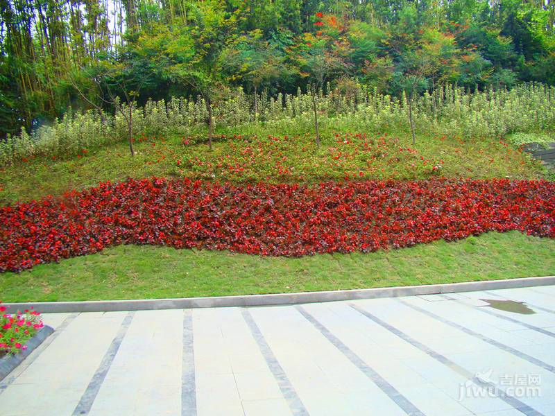 天际首府实景图图片