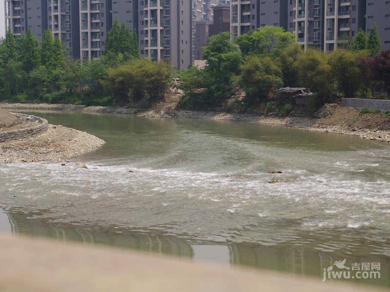 西班牙森林实景图图片