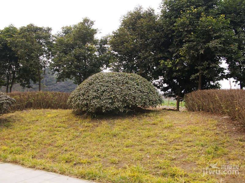 水韵华府实景图图片