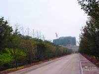 水木香山实景图图片