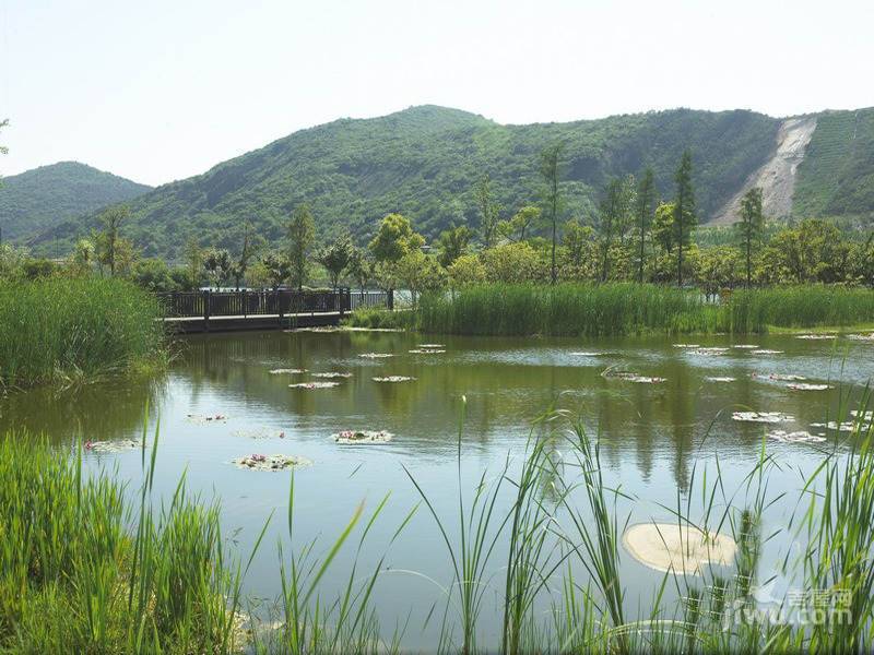 奕淳·太湖畔山庄园实景图图片