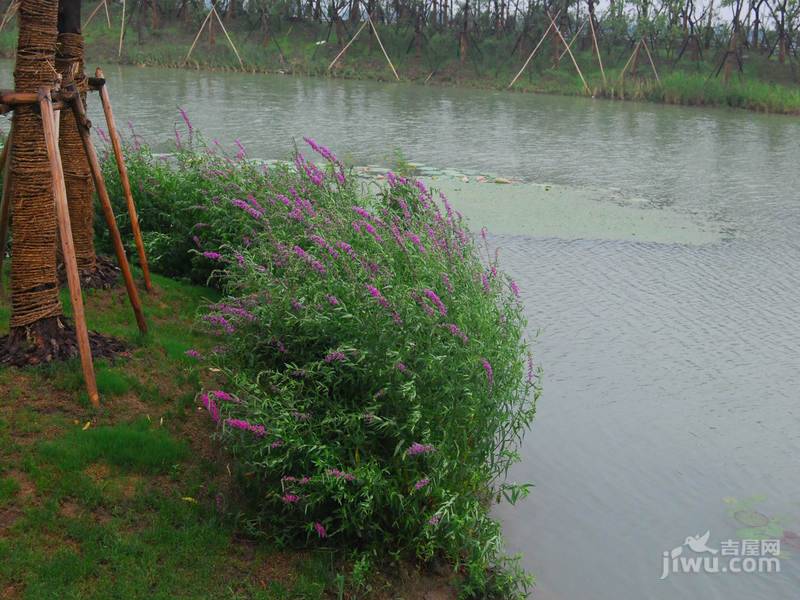 龙湖滟澜山实景图图片