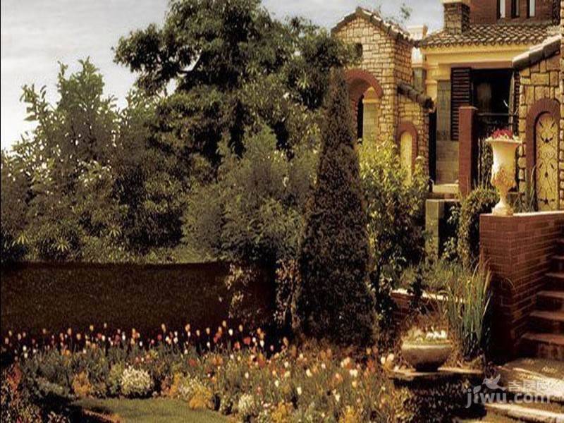 齐鲁涧桥维拉的院子效果图图片