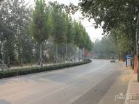 华润中央公园实景图5