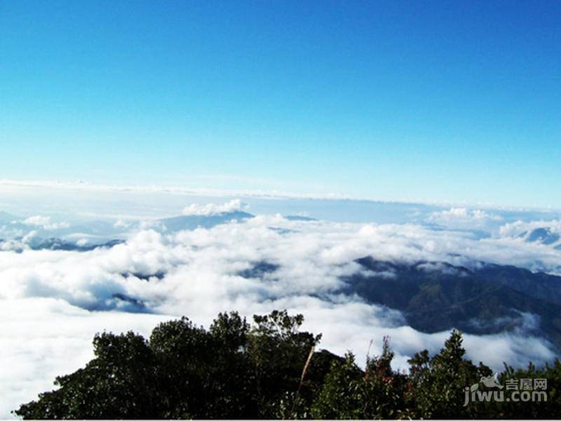 山水绿世界实景图图片