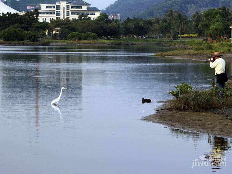 海岸名都实景图图片