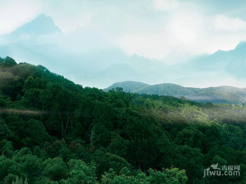五指山·雨林公馆实景图图片