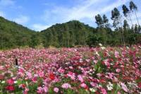 和泓假日阳光实景图图片