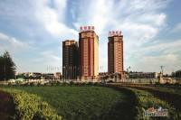 长阳·金桥国际酒店公寓效果图图片