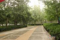 金地世家广场MINI墅实景图5