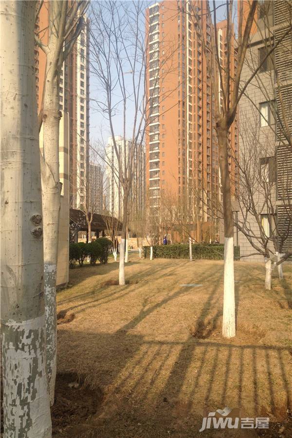 住总万科金域华府实景图图片