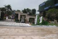 碧桂园·鼎峰城市花园实景图图片