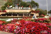碧桂园·鼎峰城市花园实景图图片