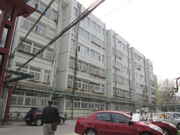 东苑南实景图图片