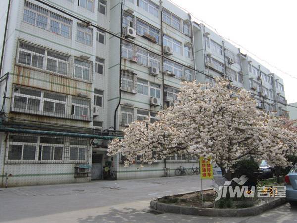东苑南实景图图片