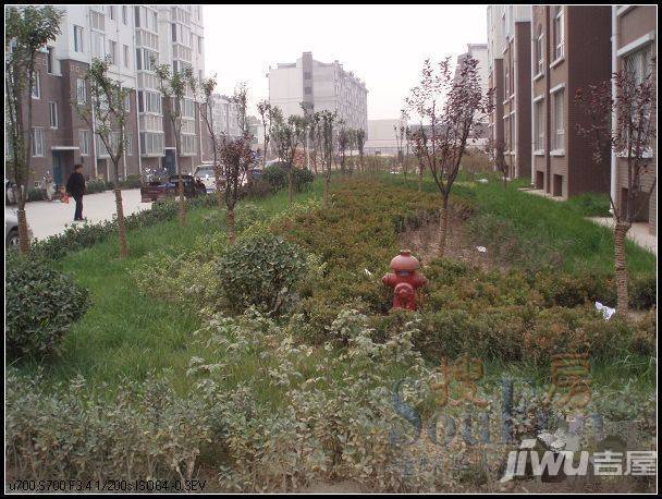 金都家园实景图图片