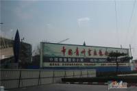 中国中晨青州书画艺术城实景图图片