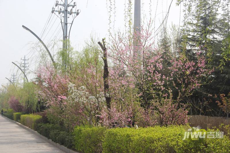 润福家园实景图图片