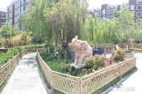 金禾馨苑实景图图片