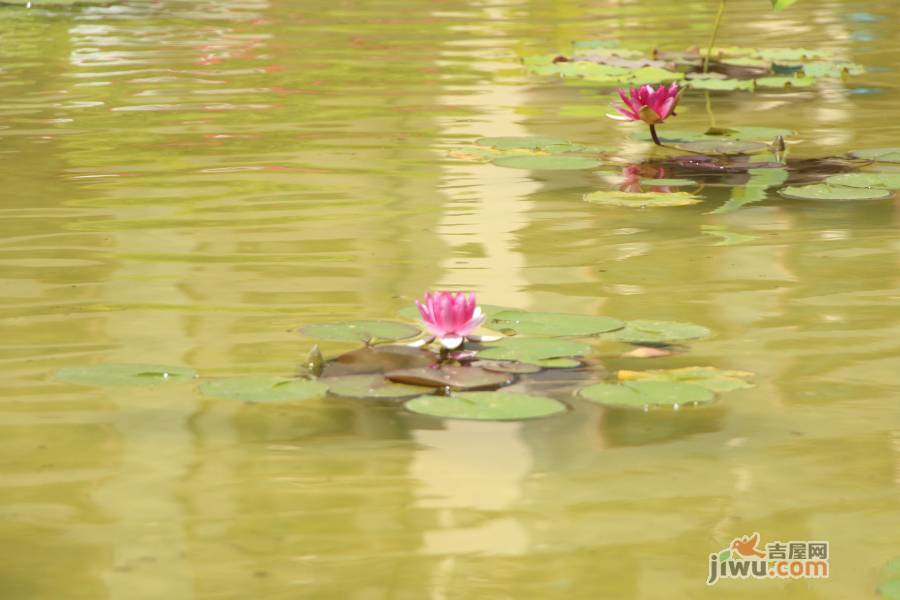 花屿海实景图图片