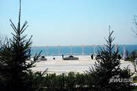 山海同湾实景图图片