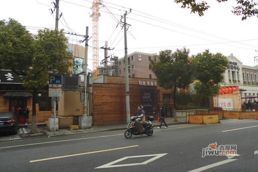 复地紫藤里实景图图片