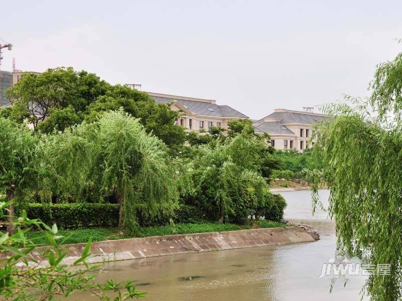 绿城玉兰花园臻园实景图图片