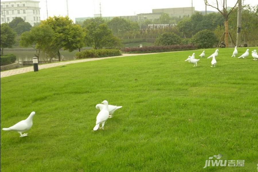 中建溪岸澜庭实景图图片