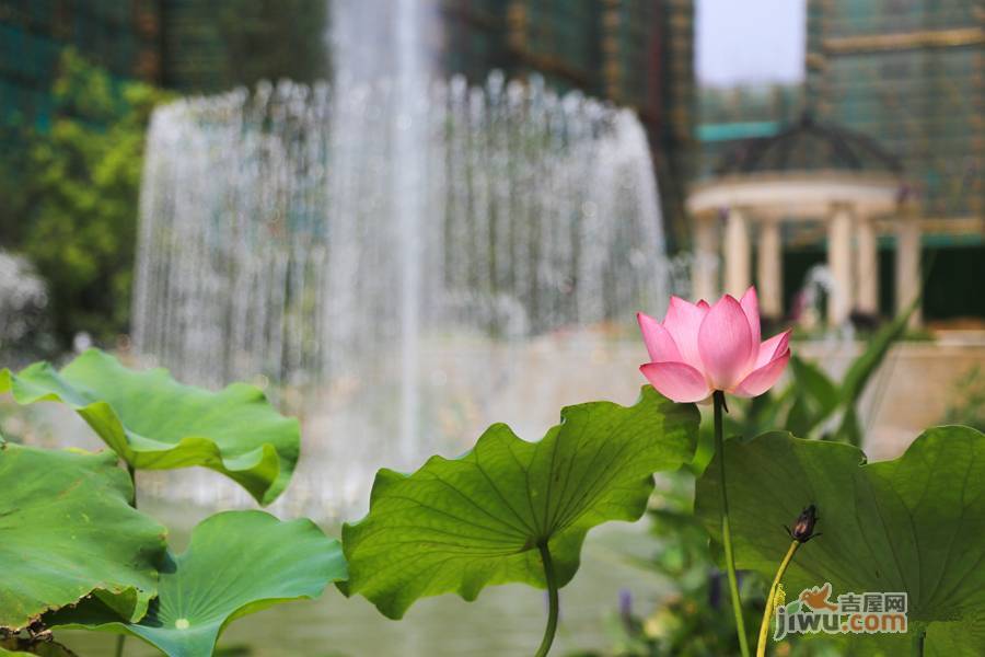 光明湖海城市花园实景图图片