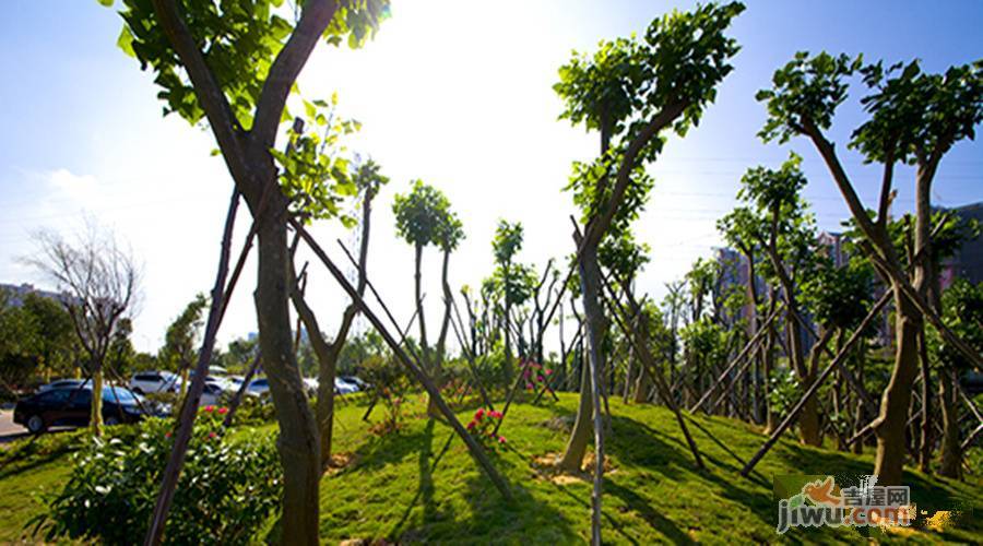 太东·棕榈泉实景图图片