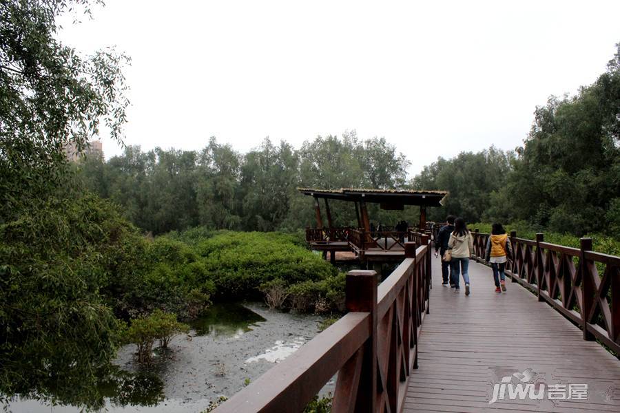 和瑞深圳青年实景图图片