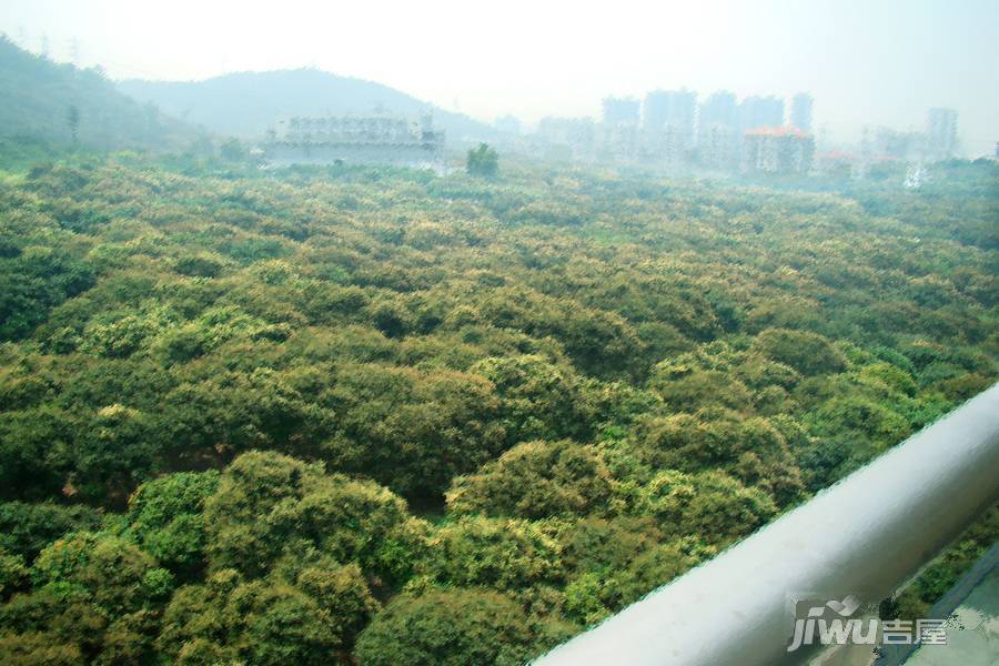 荔海春城花园实景图图片