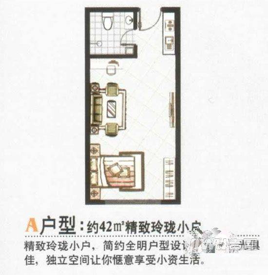 德兴雅苑普通住宅42㎡户型图