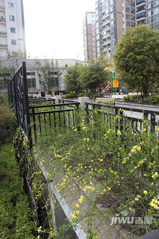 水漾花城花苑实景图图片