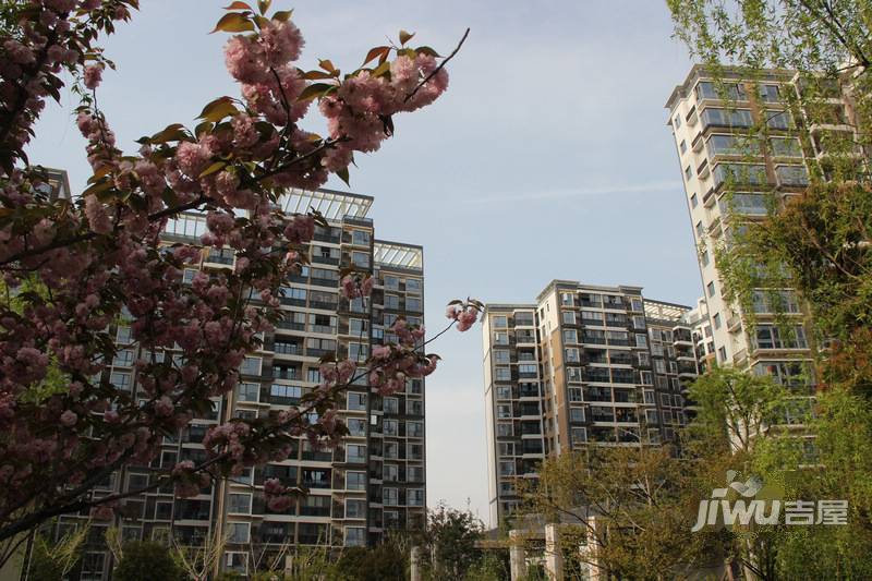 水漾花城花苑实景图图片